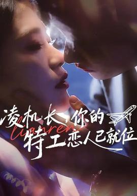 凌机长，你的特工恋人已就位(全集)